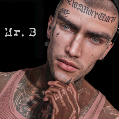 Mr B