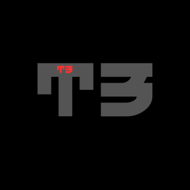T3